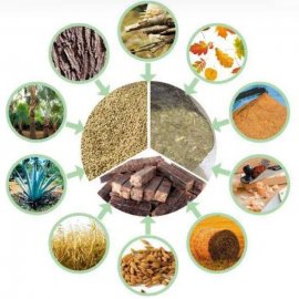 Boiler Fuel - Biomass